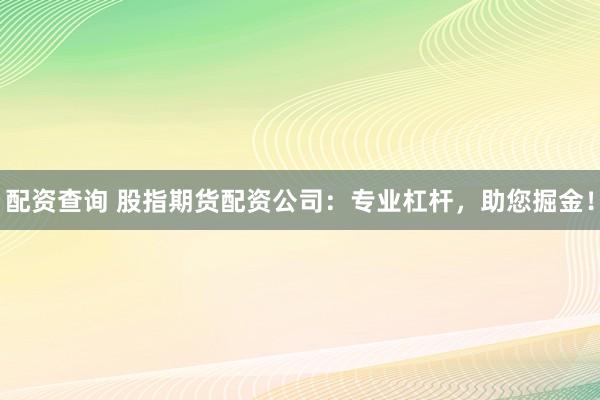 配资查询 股指期货配资公司：专业杠杆，助您掘金！