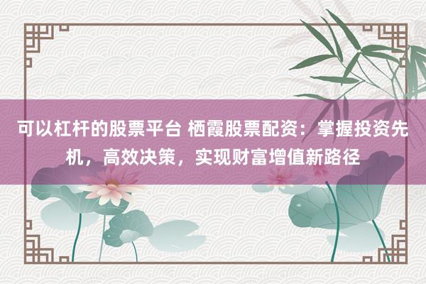 可以杠杆的股票平台 栖霞股票配资：掌握投资先机，高效决策，实现财富增值新路径