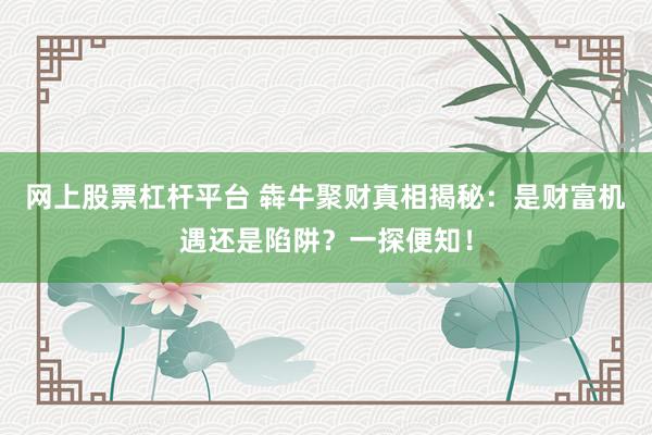 网上股票杠杆平台 犇牛聚财真相揭秘：是财富机遇还是陷阱？一探便知！