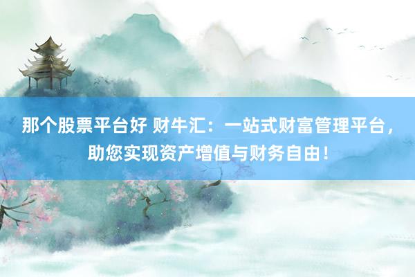 那个股票平台好 财牛汇：一站式财富管理平台，助您实现资产增值与财务自由！