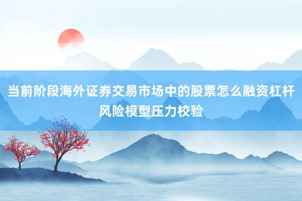 当前阶段海外证券交易市场中的股票怎么融资杠杆风险模型压力校验