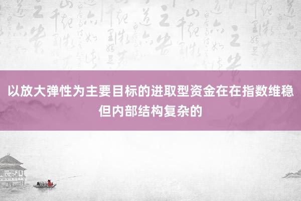 以放大弹性为主要目标的进取型资金在在指数维稳但内部结构复杂的