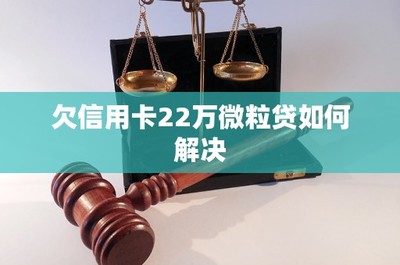 欠信用卡22万微粒贷如何解决