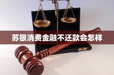 苏银消费金融不还款会怎样