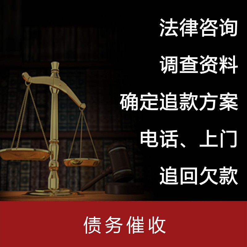 法律咨询服务 债务纠纷要账收账追账工程欠款借款欠条 债务催收图片_高清图_细节图